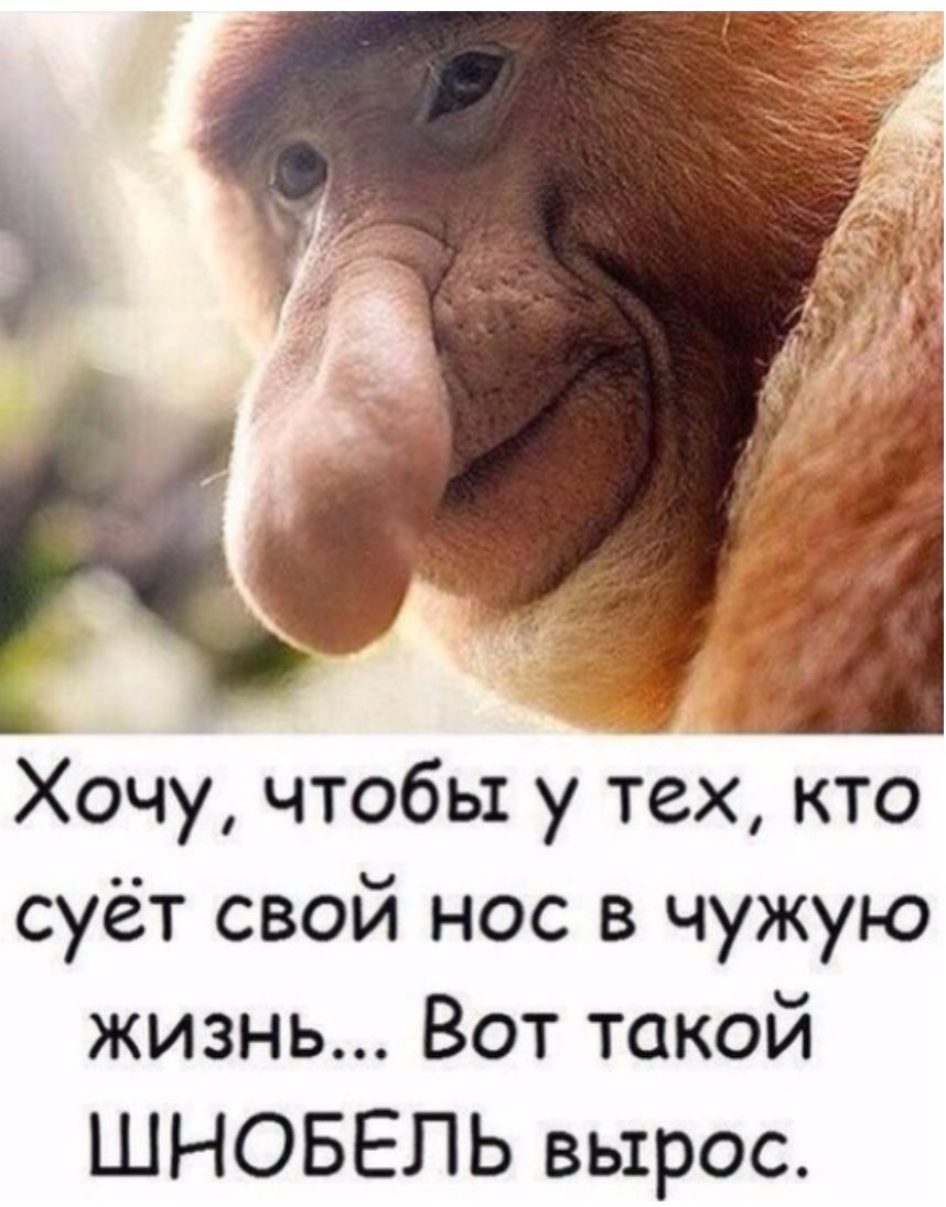 Хочу чтобы у тех кто суёт свой нос в чужую жизнь Вот такой ШНОБЕЛЬ вырос