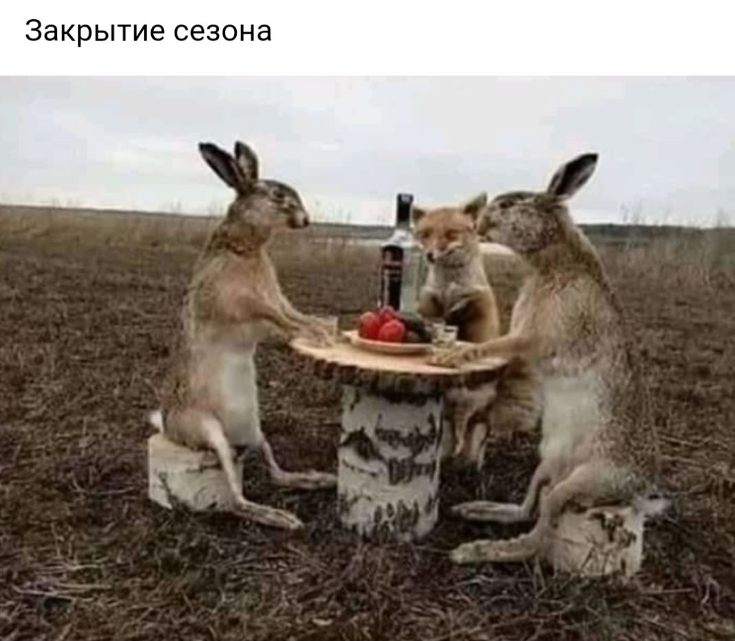 Закрытие сезона