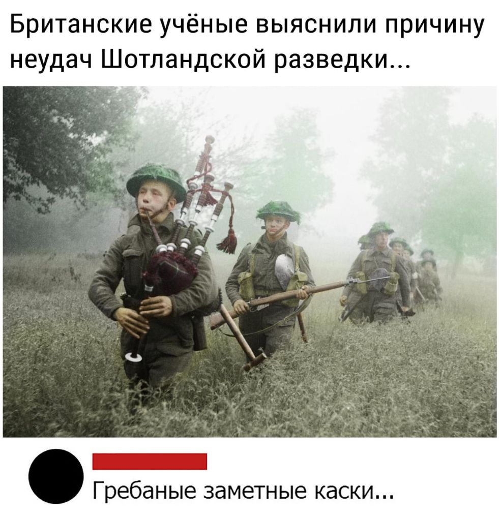 Британские учёные выяснили причину неудач Шотландской разведки Гребаные ЗдМЗТН ые КдСКИ