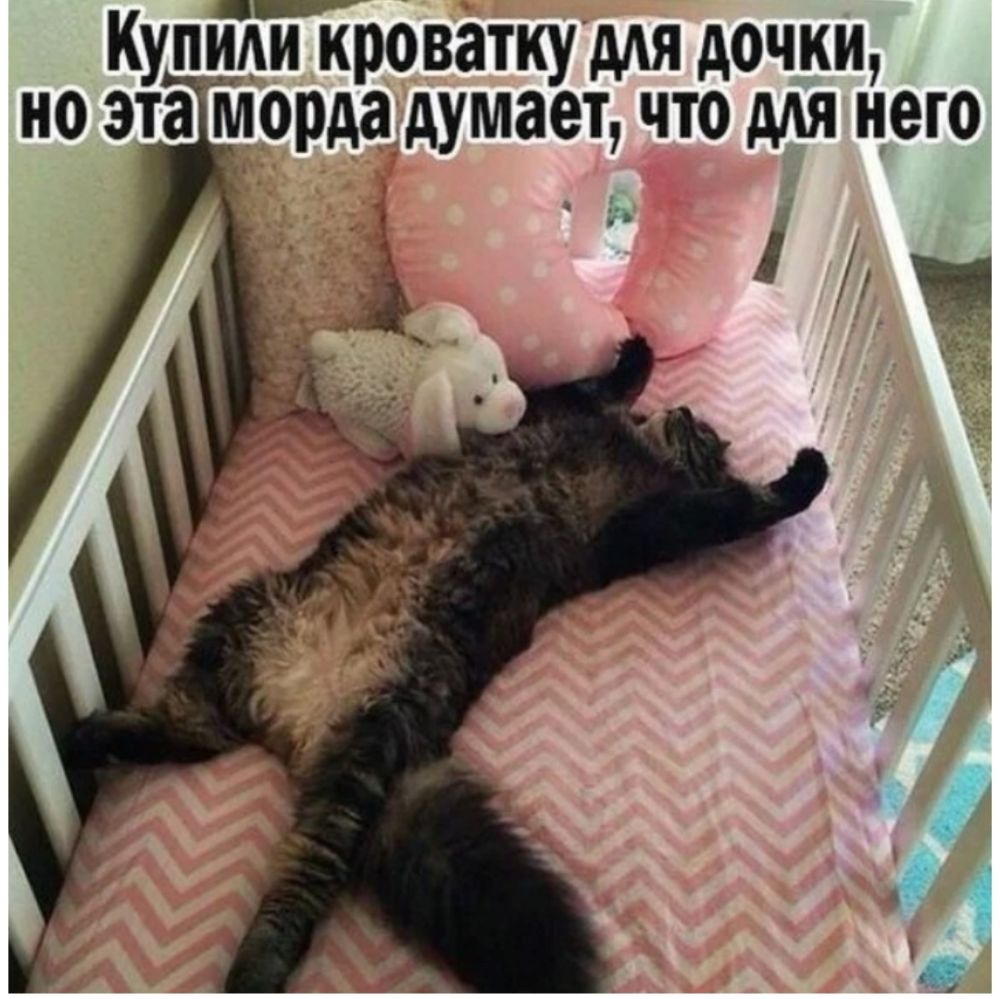 Купідййроватку мя дочки но эта морда думает что мя него