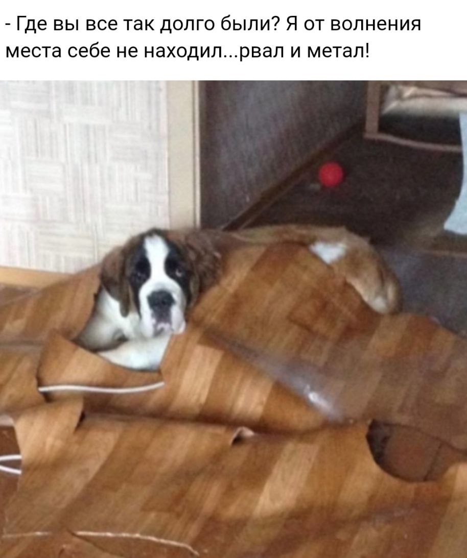 Где вы все так долго были Я от волнения места себе не находилрвал и метал