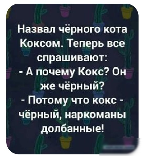 Назвал чёрного кота Коксом Теперь все спрашивают А почему Кокс Он же чёрный Потому что кокс чёрный наркоманы долбанные