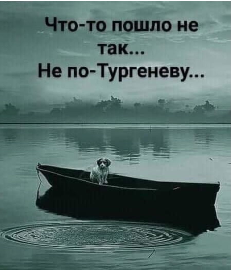 Что то пошло не так Не по Тургеневу