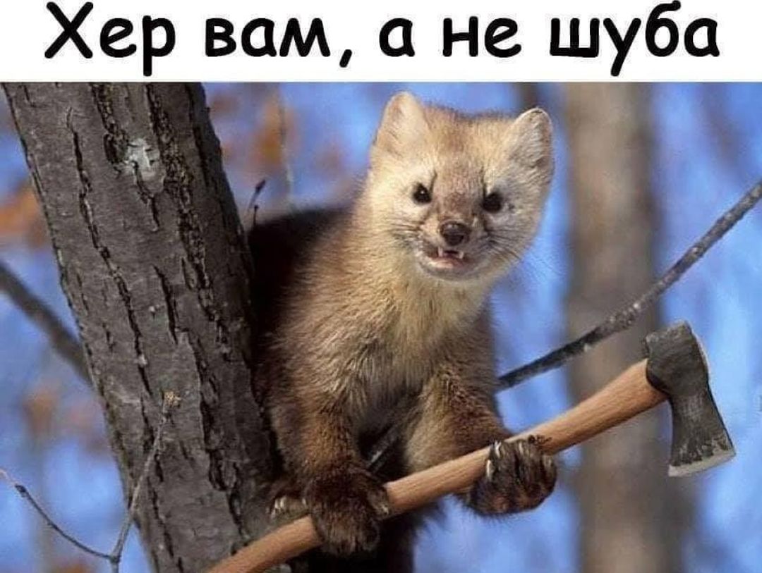Хер вам а не шуоа ь
