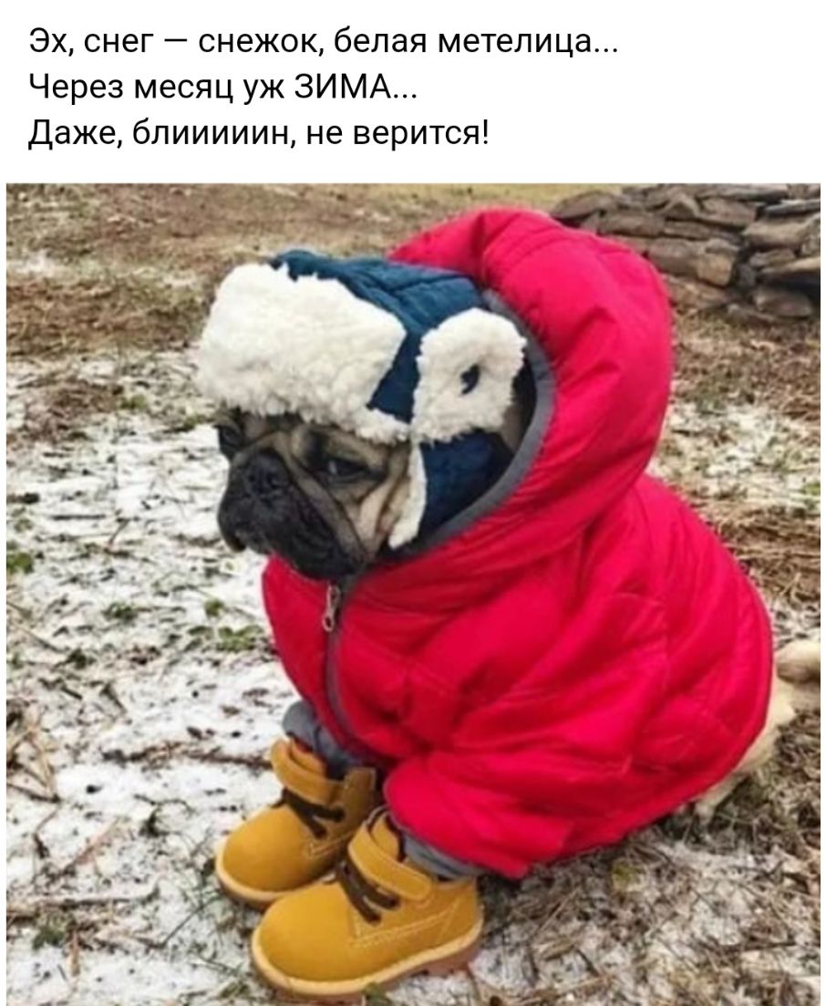 Эх снег снежок белая метелица Через месяц уж ЗИМА Даже блииииин не верится