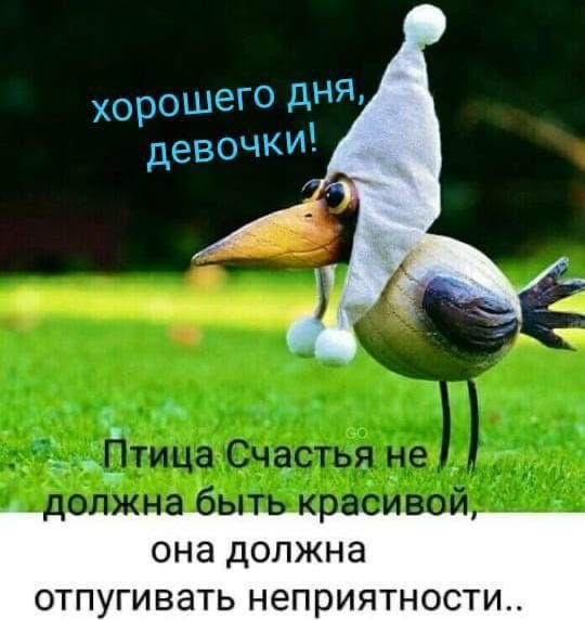 ОНд ДОЛЖНЭ ОТПУГИВЗТЬ неприятности