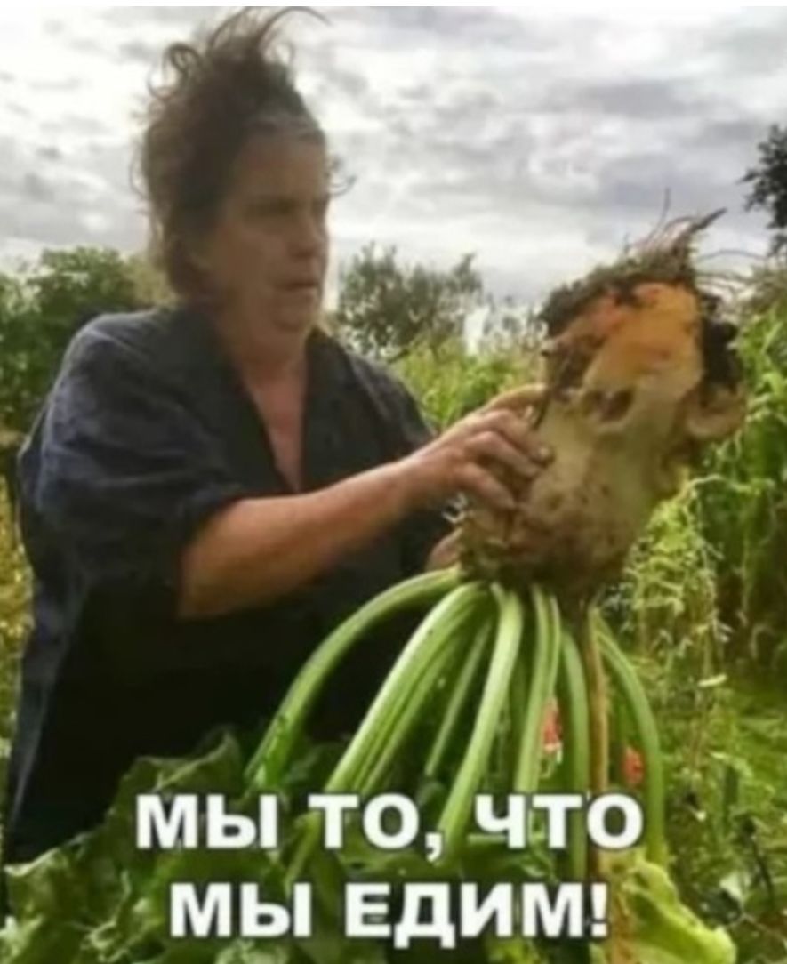 553 і 77 мы то что мы ЕдИМ _