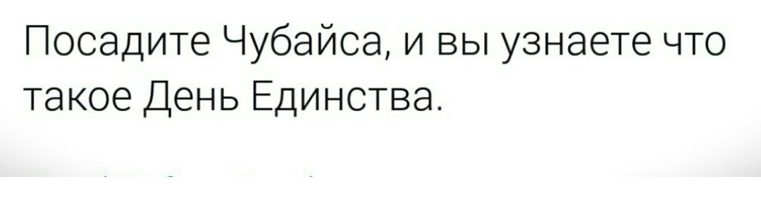 Посадите Чубайса и вы узнаете что такое День Единства