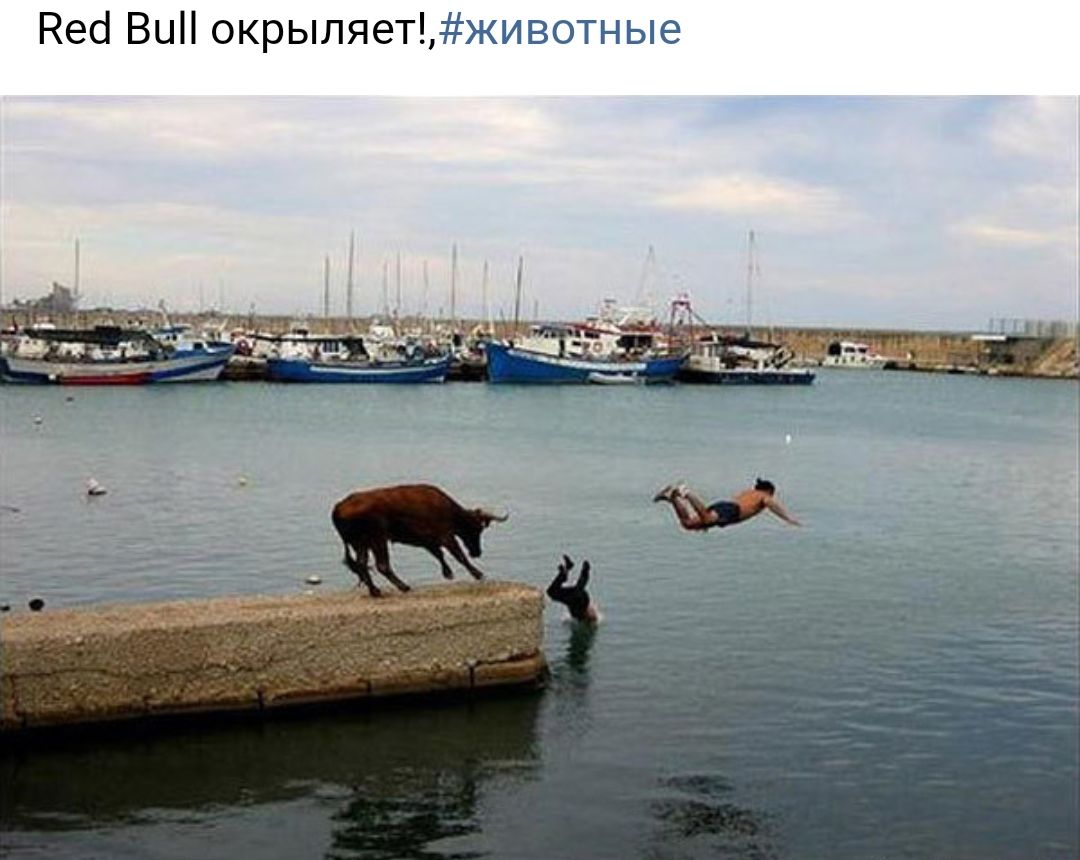 Неа Вы окрыляет г