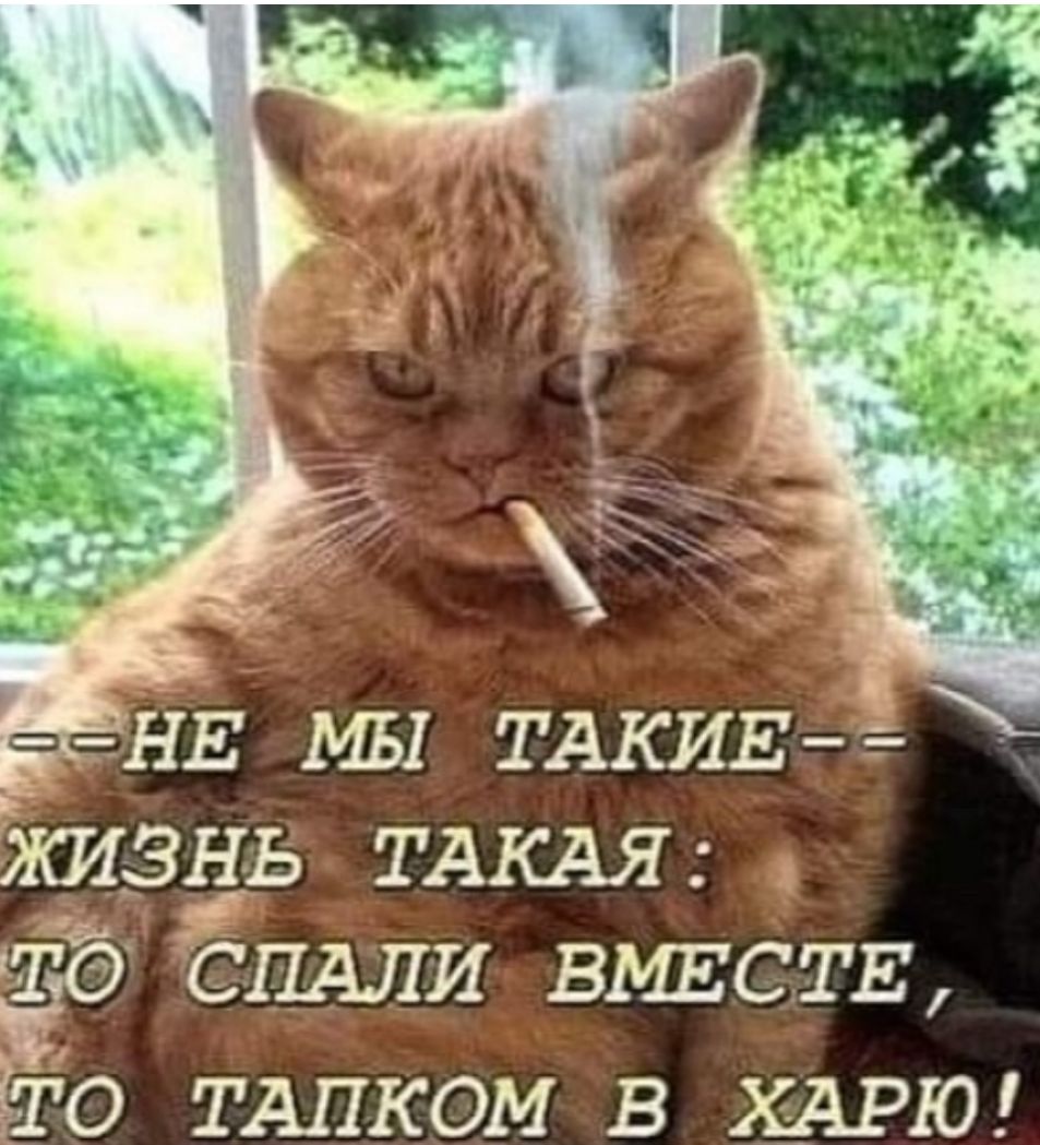 ПЕ мы ТАКИЕ ЯШЗЁЬ ТАКАЯ Ёб СПАЛИ ВМЕСТЕ То ТАПКОМ в ХАРЮ