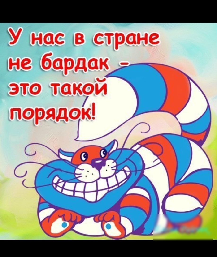 У нас в стране не бардак это такой порядок