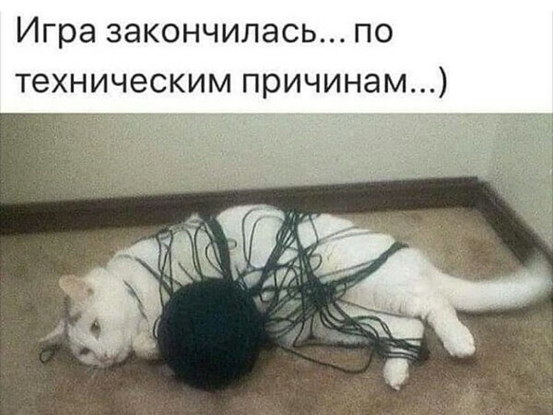 Игра ЗЭКОНЧИЛЭСЬ ПО ТЭХНИЧЭСКИМ ПРИЧИНЭМ