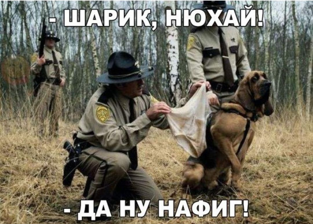 НАФИГ