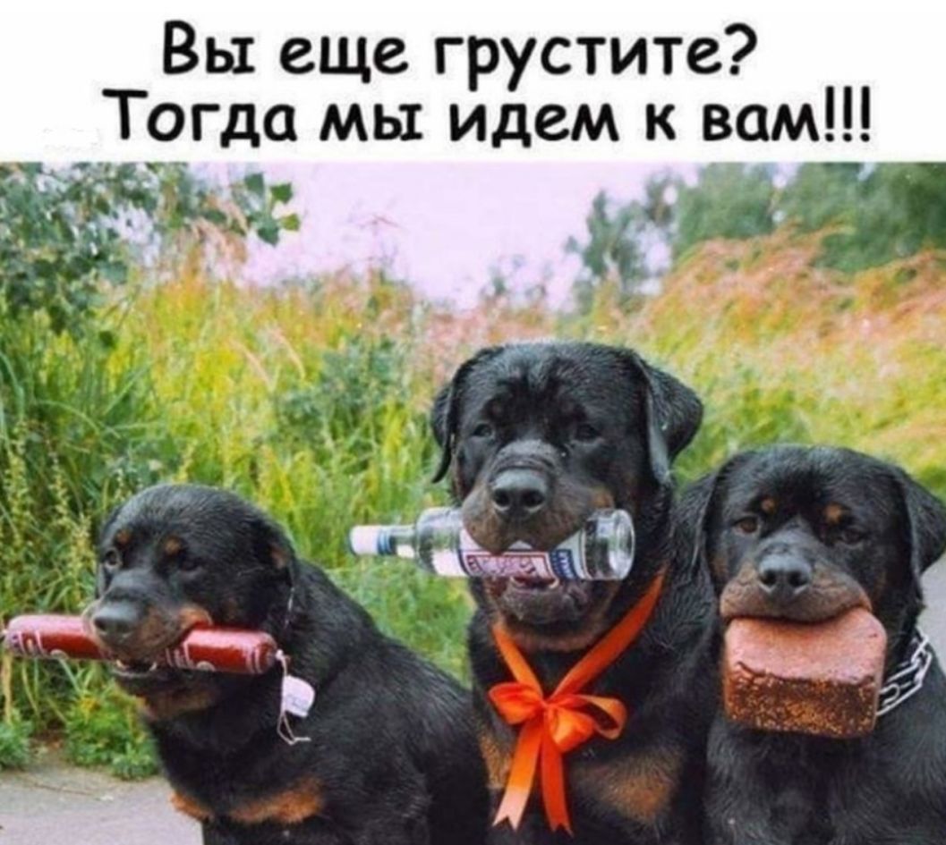 Вы еще грустите _ Тогда мы идем к вам