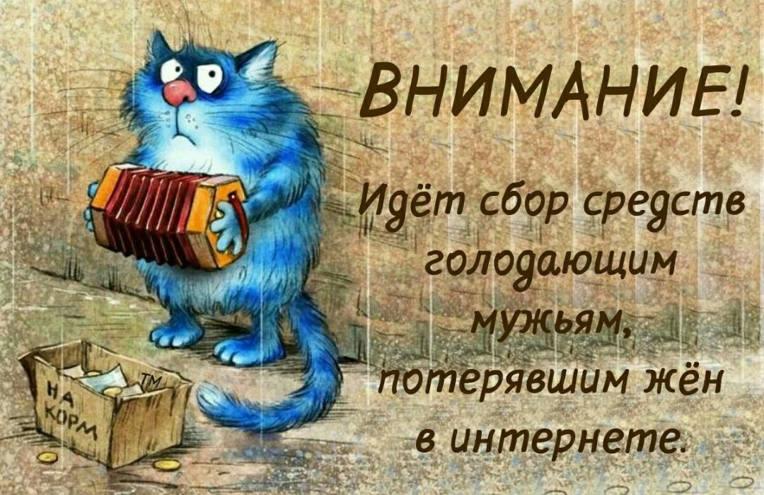 гз Ц нидь а и ющ им туд в 1
