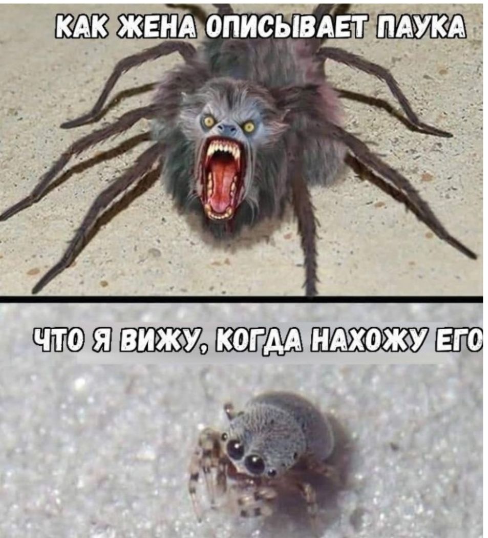 3 ЖЕНА ОПИСЬРАЕТ НАУКА __ м Ц _ ч а _ т