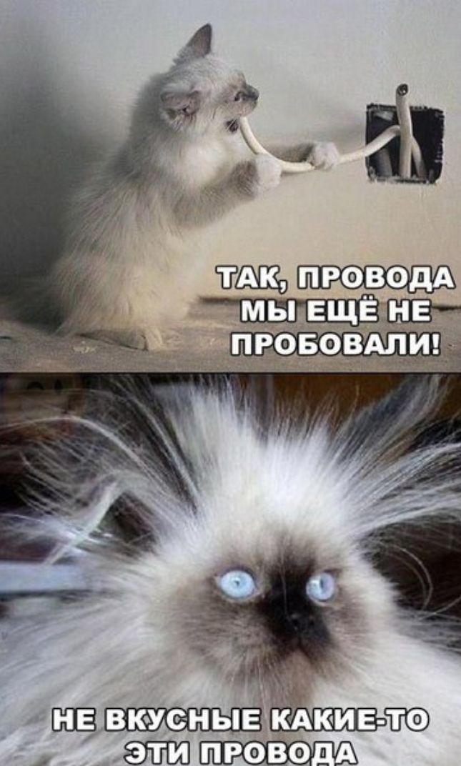 д Ё