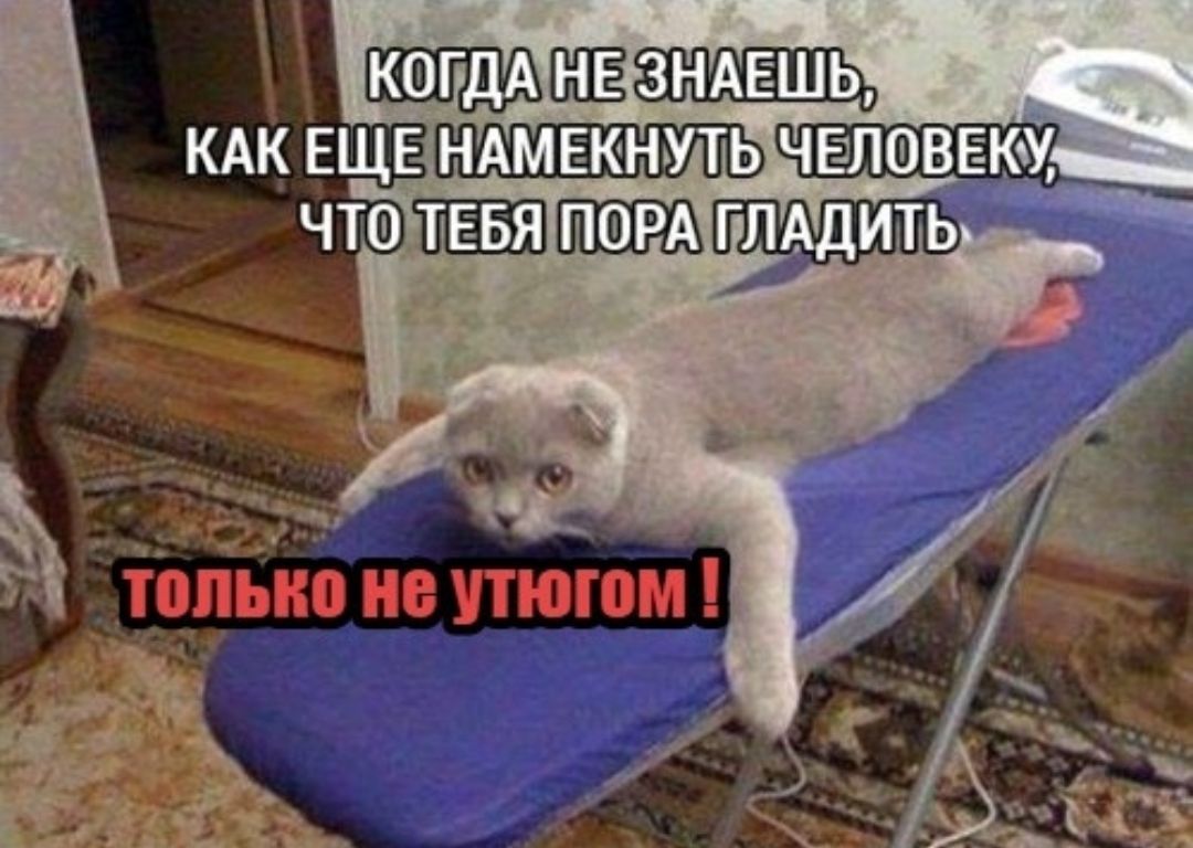 КОГДА ЗНАЕШЬ КАК ЕЩЕ НАМЕКНУТЬ ЧЕЛОВЕК
