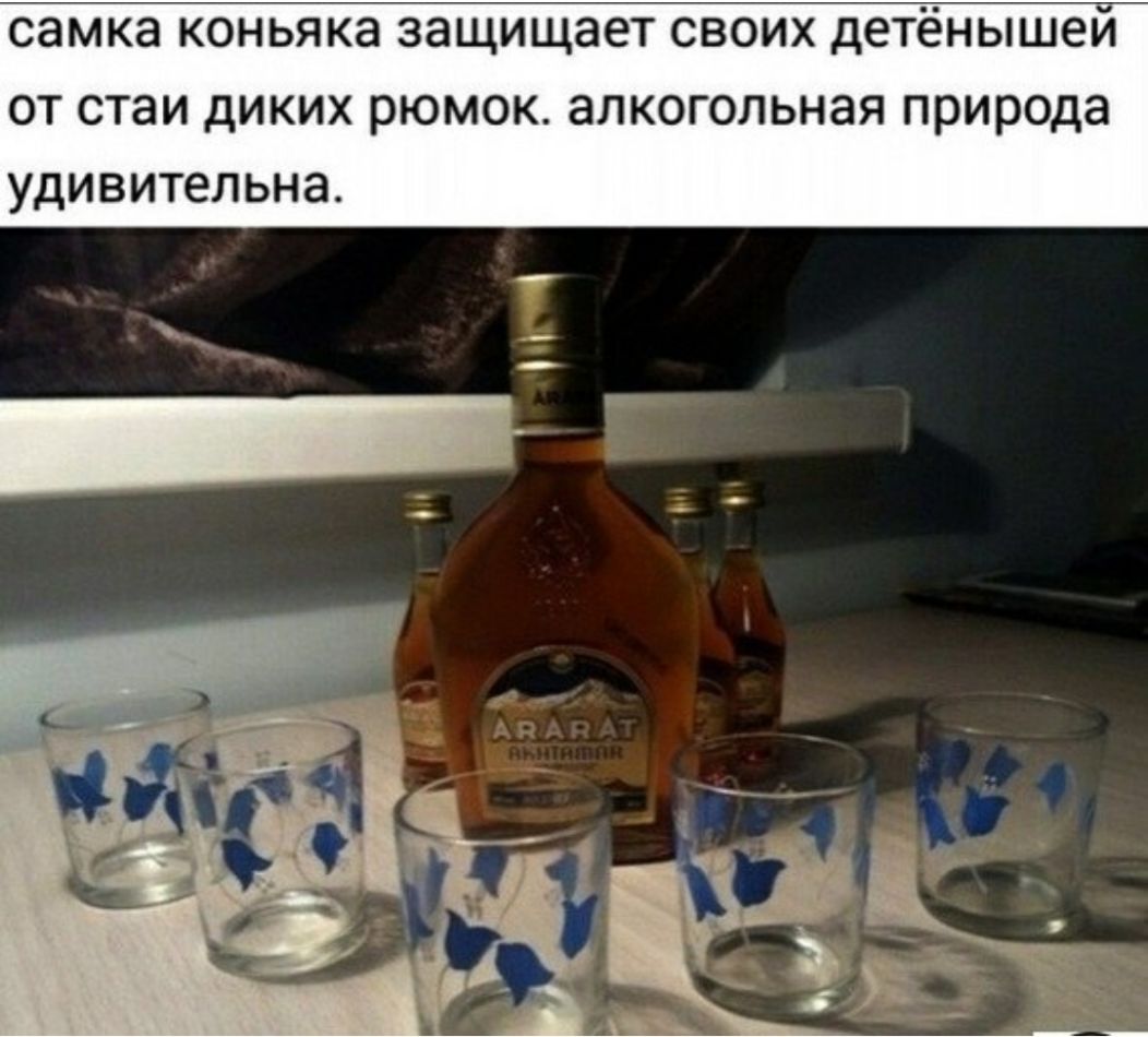 самка КОНЬЯКЭ защищает СВОИХ детёнышей ОТ стаи дИКИХ РЮМОК ЭЛКОГОЛЬНЭЯ природа УДИВИТеЛЬНЭ