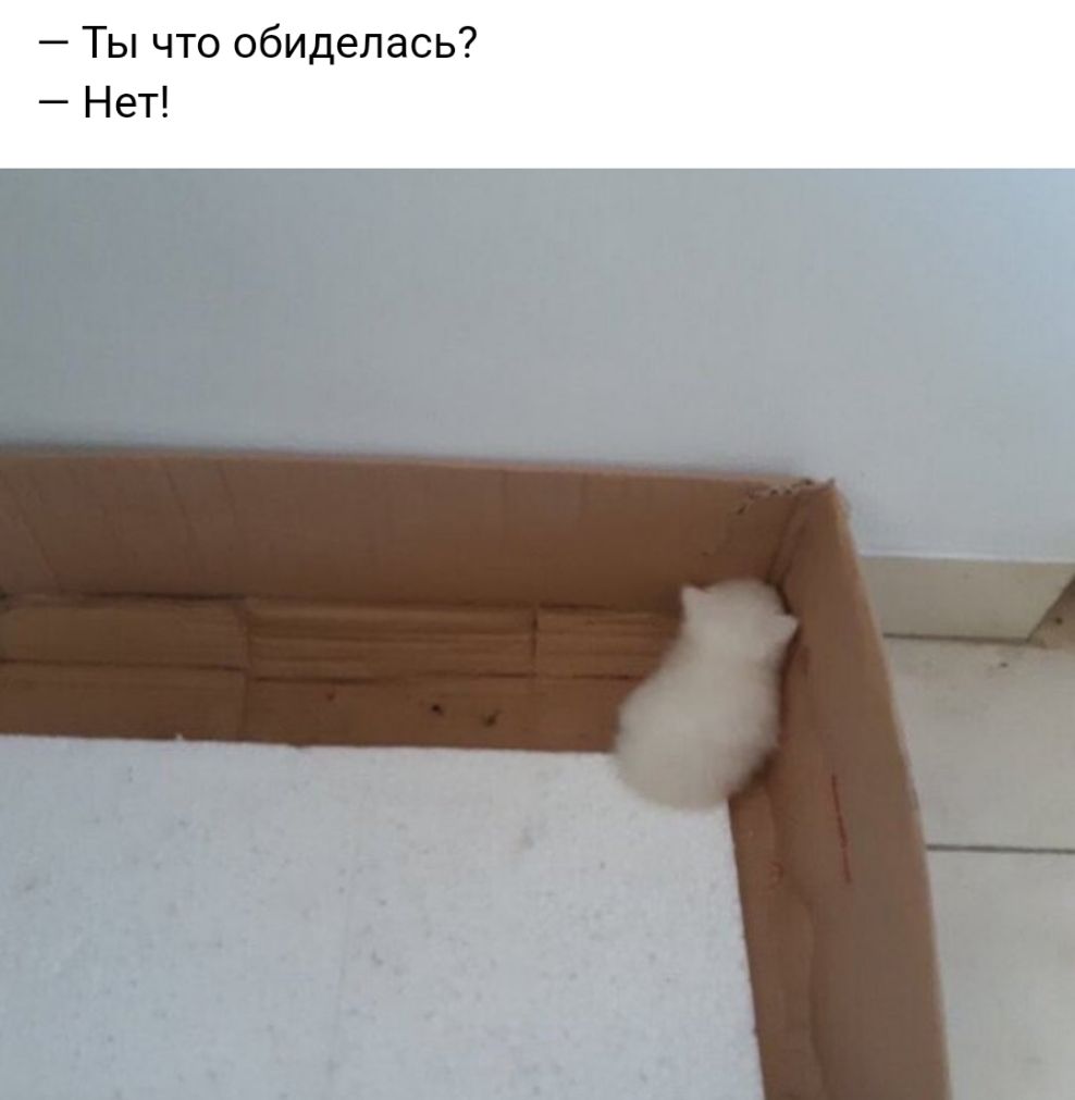 Ты что обиделась Нет