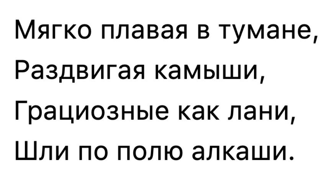 Мягко плавая в тумане Раздвигая камыши Грациозные как лани Шли по полю алкаши