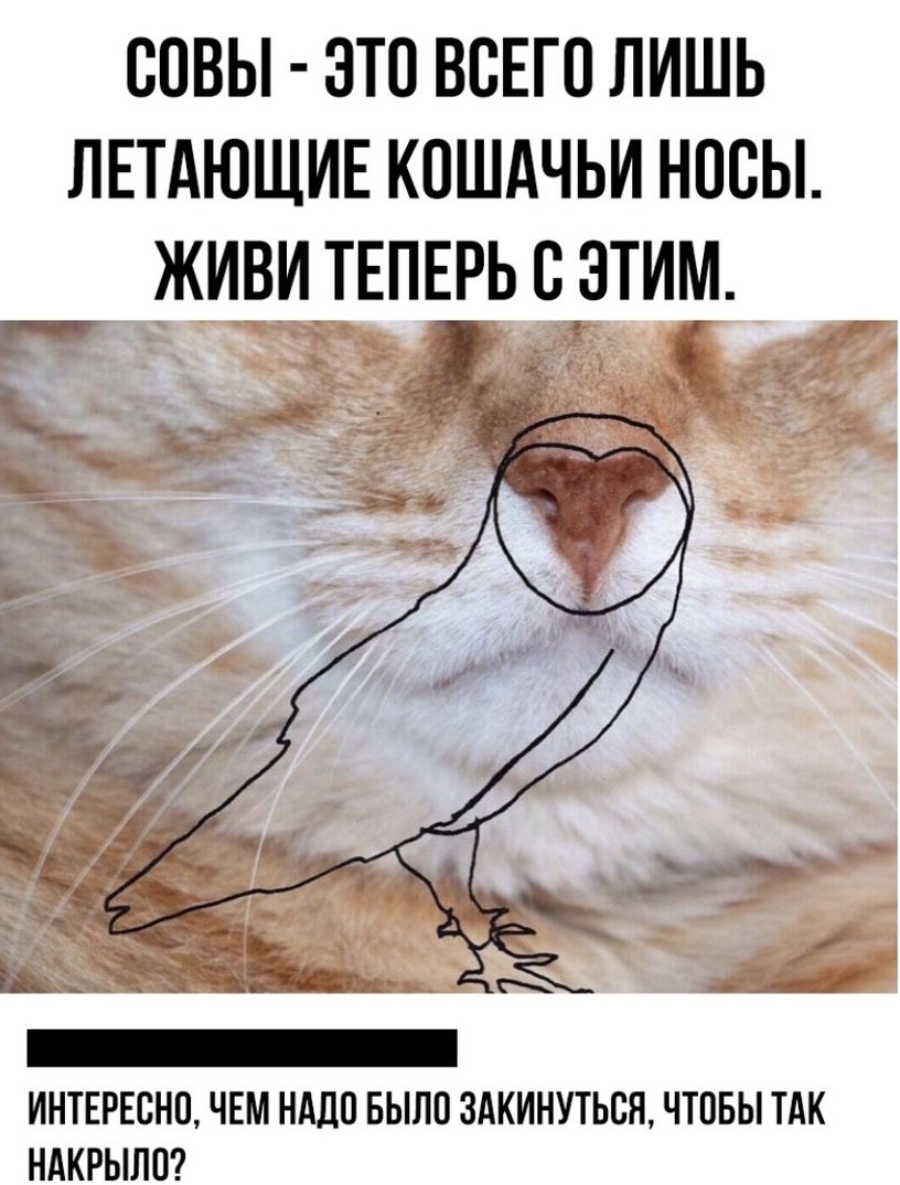 СПВЫ ЭТО ВСЕГО ЛИШЬ ЛЕТАЮЩИЕ КПШАЧЬИ НОСЫ ЖИВИ ТЕПЕРЬ С ЭТИМ ___ __ ИНТЕРЕСНО ЧЕМ НАДО БЫЛО ЗАКИНУТЬСЯ ЧТОБЫ ТАК НАКРЫЛП