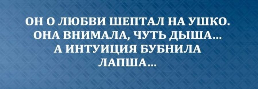 ОН О ЛЮБВИ ШЕПТАЛ НА УШКО ОНА ВНИМАЛА ЧУТЬ ДЫША А ИНТУИЦИЯ БУБНИЛА ЛАПША