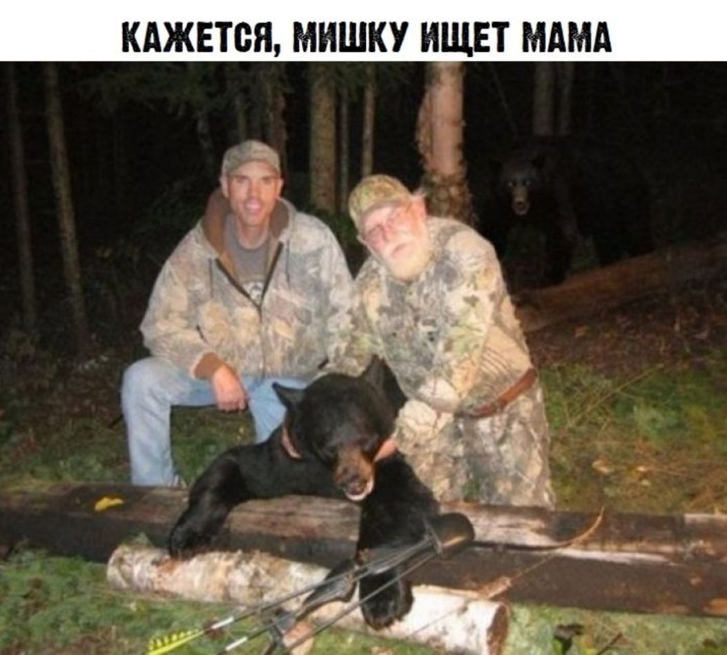 КАЖЕТСЯ МИШКУ ИЩЕТ МАМА