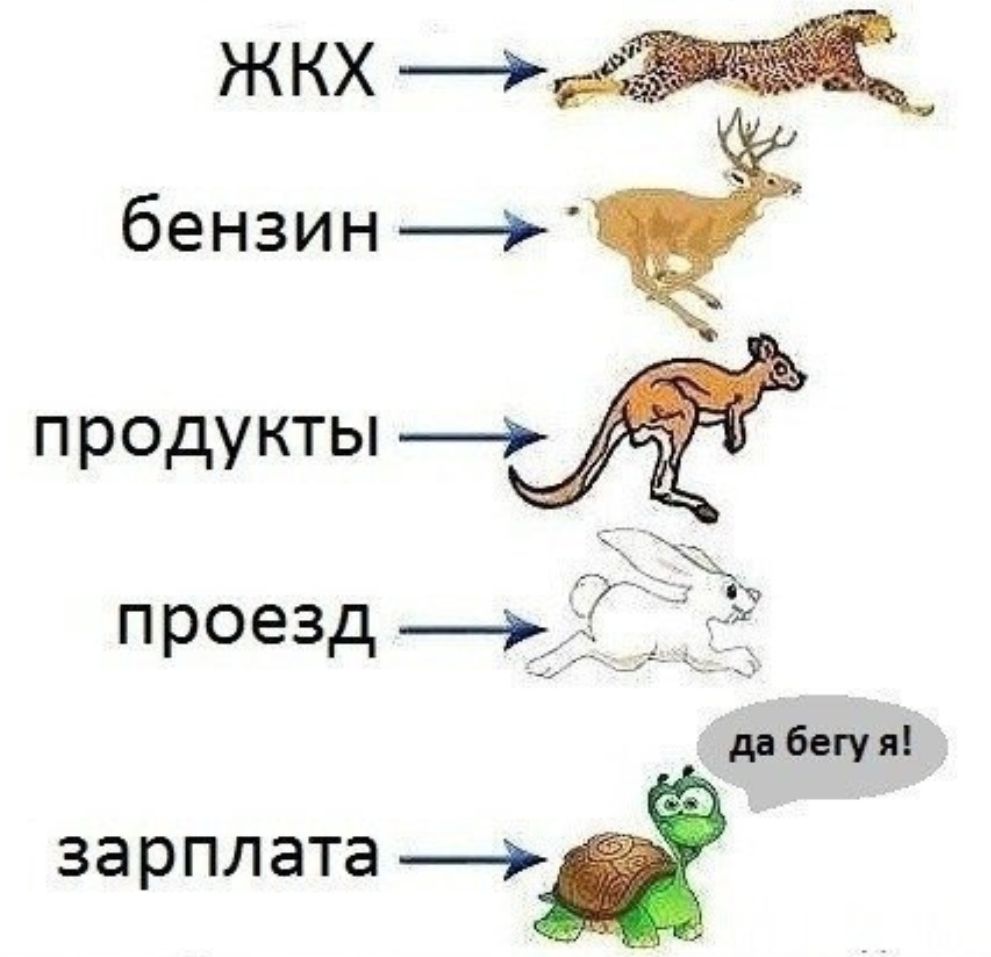 ЗЗРПЛЭТЗ проезд __Ь 737 _