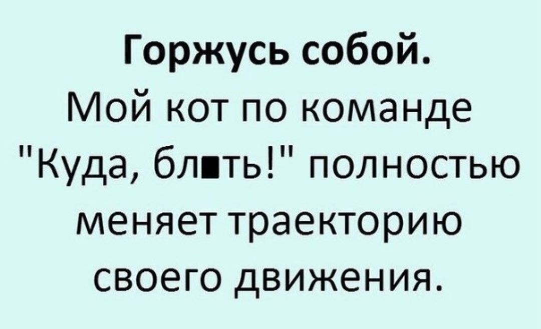 Горжусь собой Мой кот по команде Куда блять полностью меняет траекторию своего движения