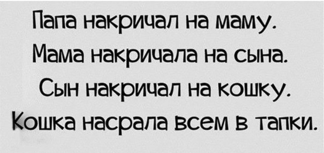 Папа накрицап на маму Мама накрицапа на сына Сын накрицап на кошку Кошка насрапа всем в тапки