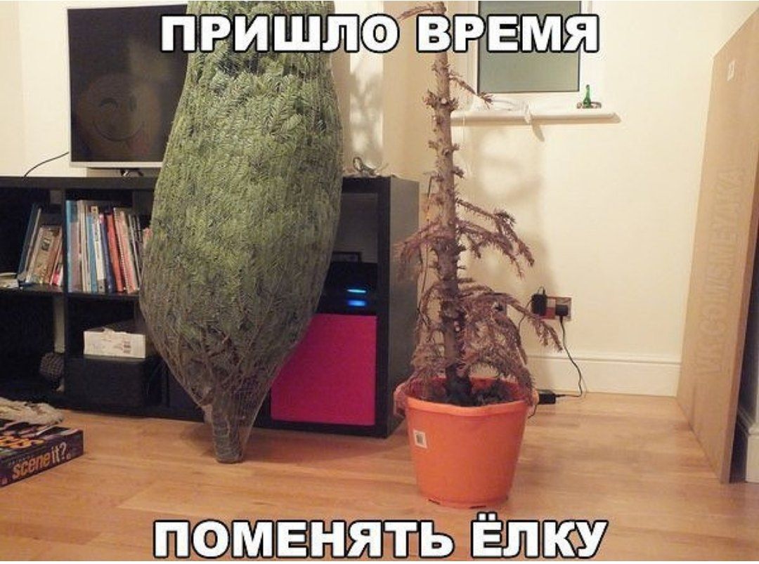 поменять Елку