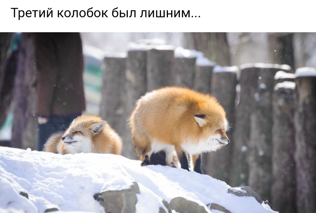 Третий колобок был лишним