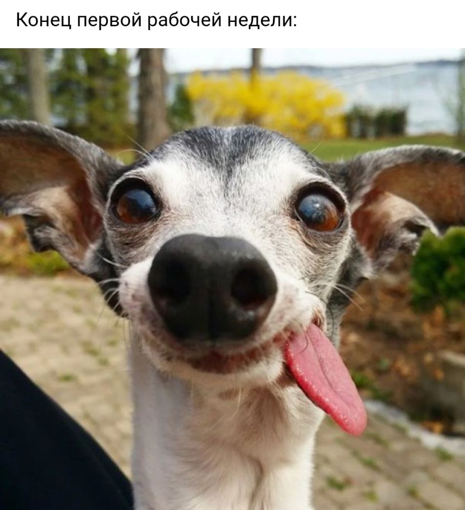 Конец первой рабочей недели