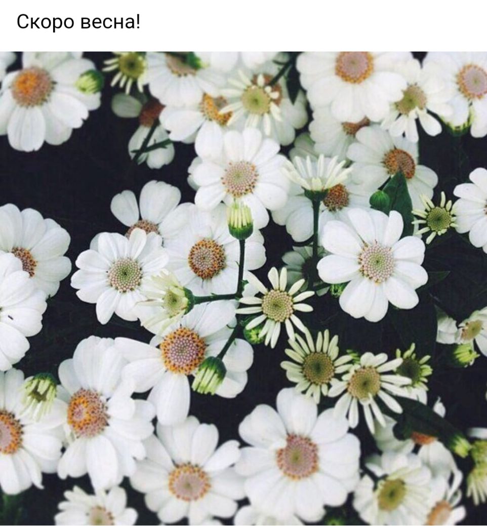 Скоро весна