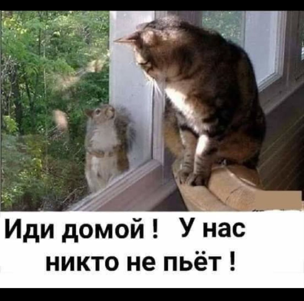 _ Иди домой У нас никто не пьёт