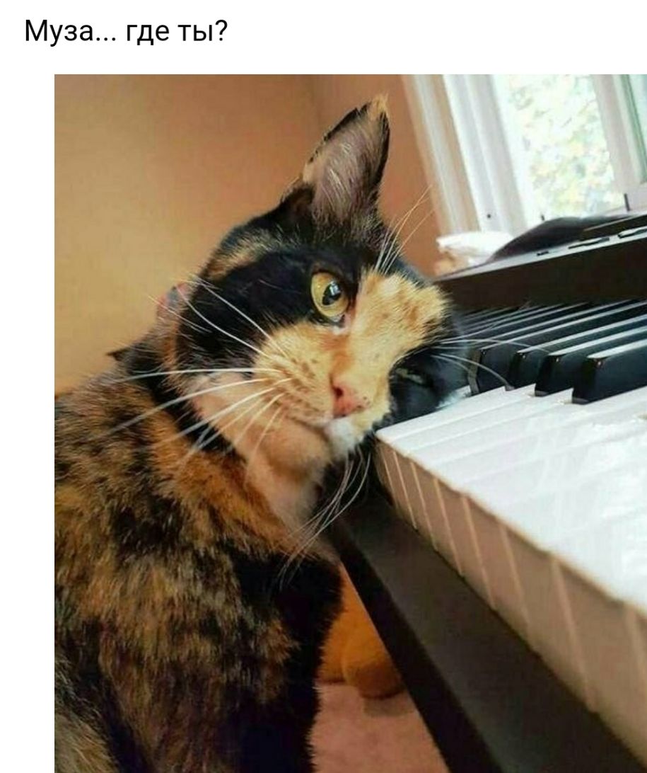 Муза где ты