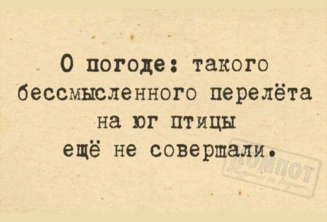 О погоде такого бессмысленного перелёта на юг птицы ещё не совершали