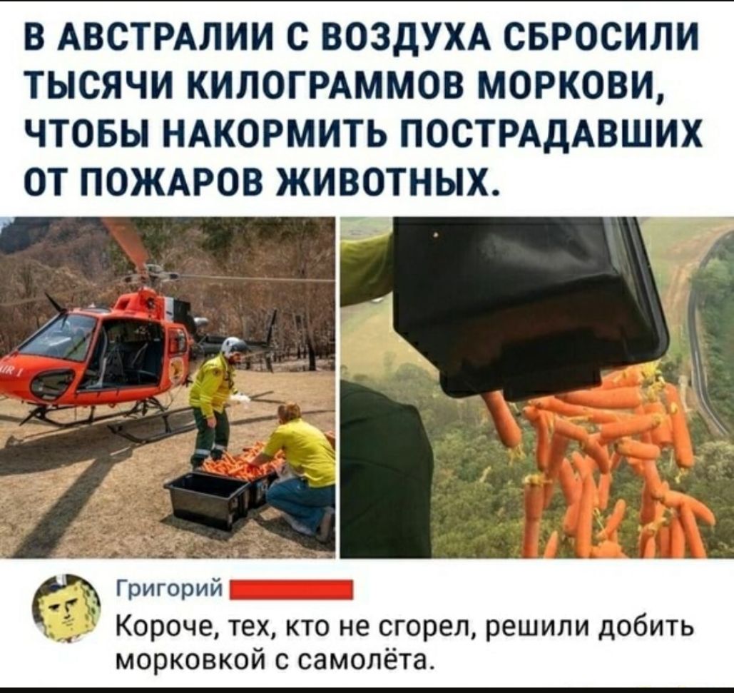 В АВСТРАЛИИ С ВОЗДУХА СБРООИЛИ ТЫСЯЧИ КИЛОГРАММОВ МОРКОВИ ЧТОБЫ НАКОРМИТЬ ПОСТРАДАВШИХ ОТ ПОЖАРОВ ЖИВОТНЫХ ГРИГОРИЙ _ Короче тех кто не сгорел решили добить морковкой с самолёта