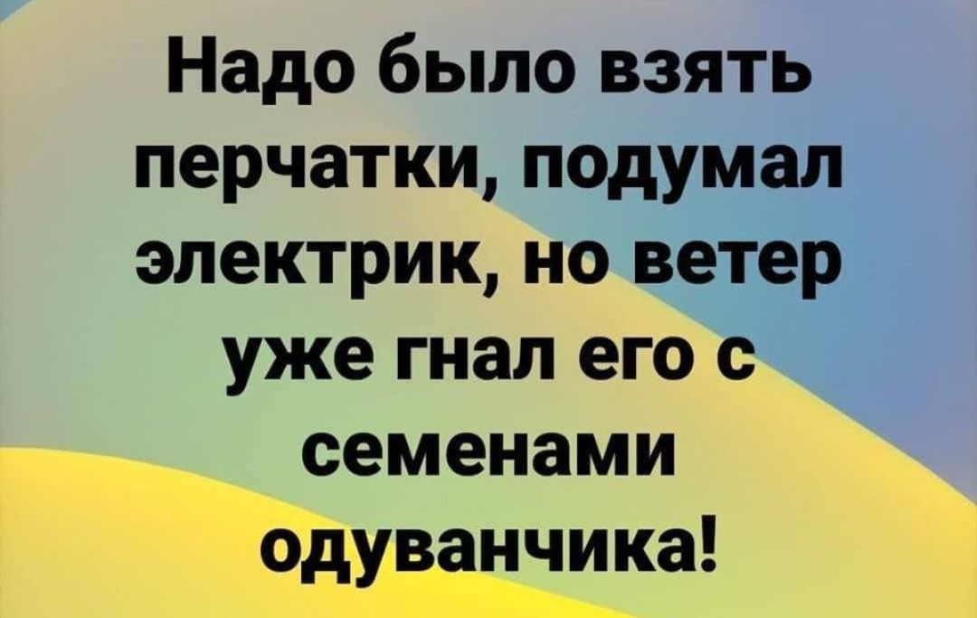 Надо было взять перчатки подумал электрик но ветер уже гнал его с семенами