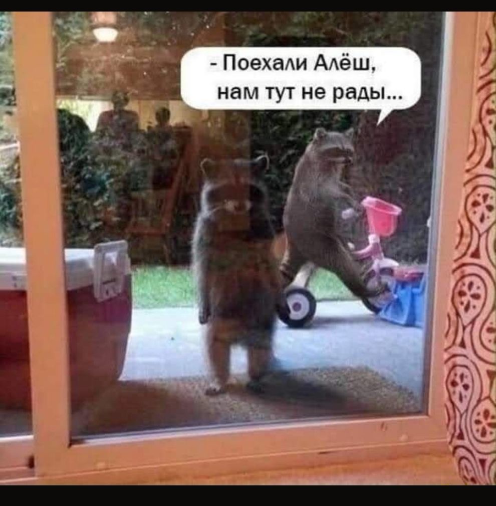 Ё ПоехаАи ААёш нам тут не рады