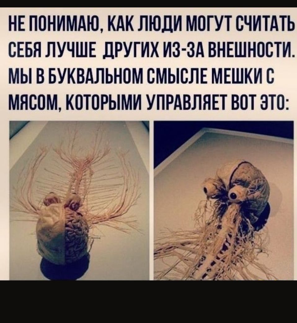 НЕ ППНИМАЮ КАК ЛЮДИ МОГУТ СЧИТАТЬ СЕБЯ ЛУЧШЕ ДРУГИХ ИЗ ЗА ВНЕШНОСТИ МЫ В БУКВАЛЬНОМ СМЫСЛЕ МЕШКИ С МЯСОМ КОТОРЫМИ УПРАВЛЯЕТ ВОТ ЭТО