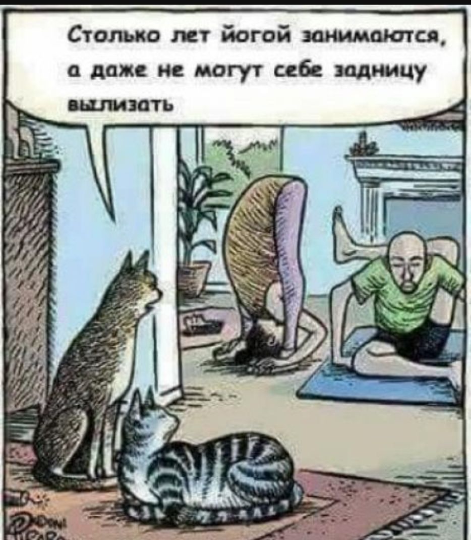 чп а даже не могут цб задницу Столько лет