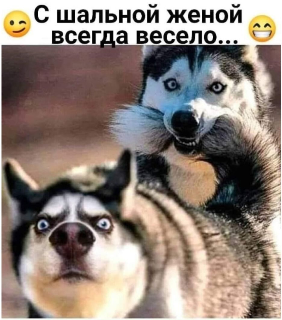 С шальной женой всег_а весело