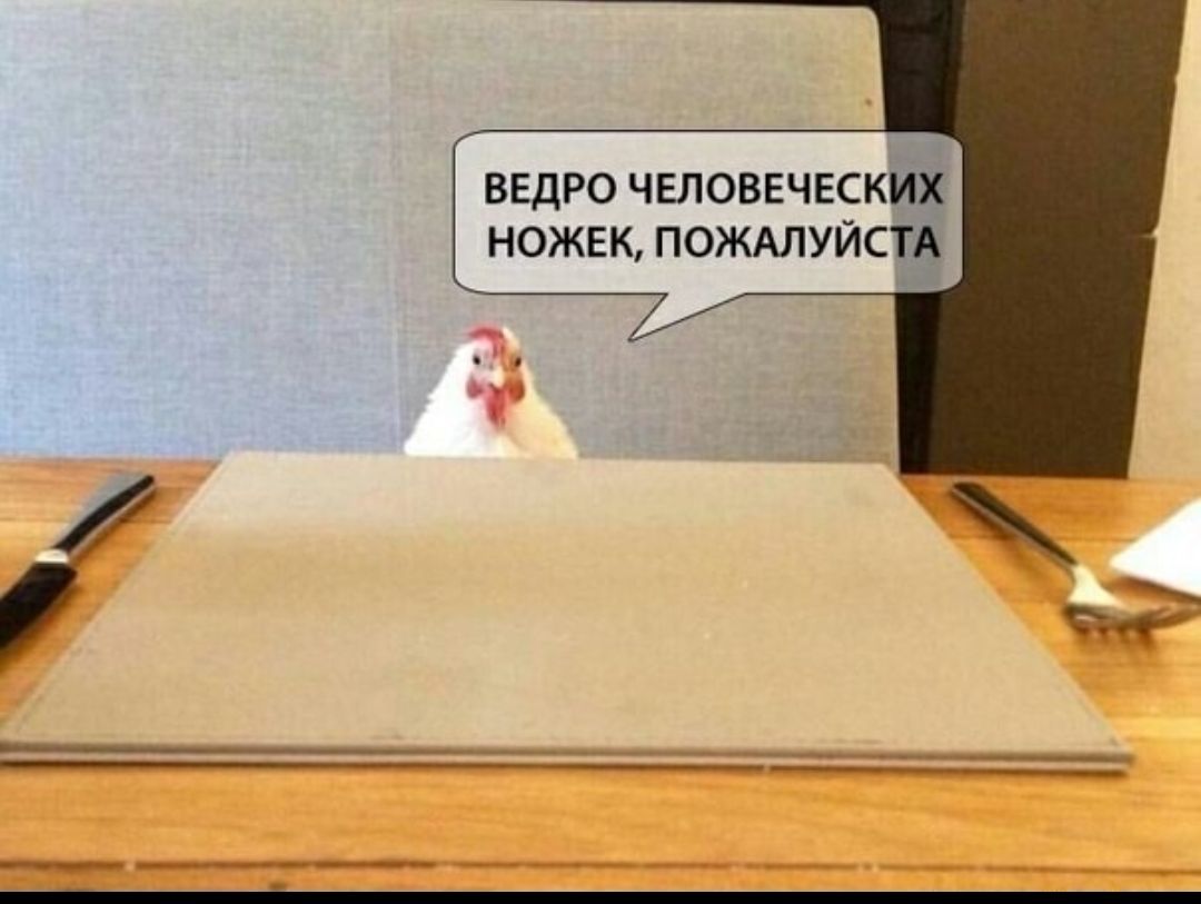 ведро человеческих ножек пожмуйстё