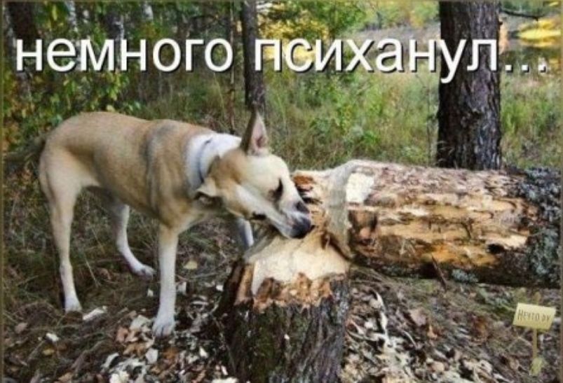 Х 4 3