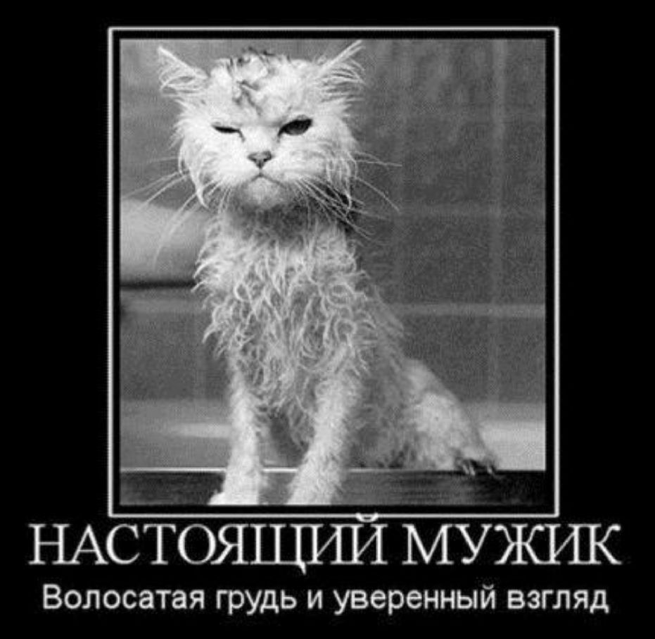 НАСТОЯЩШЛ МУЖШ Волосатая грудь и уверенный взгляд