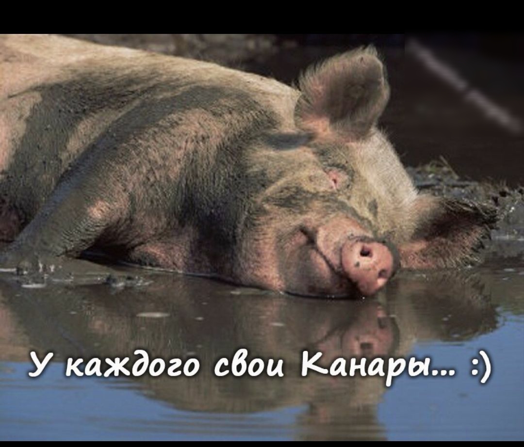 с і А ЗУ каждого сбой 5333