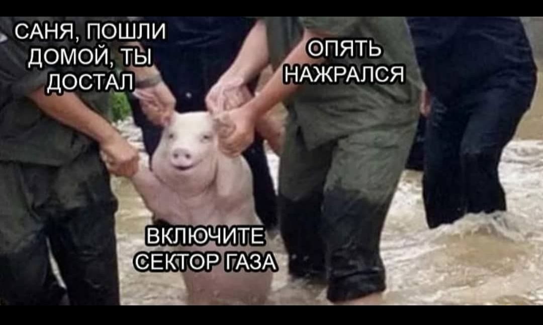 САНЯ ПОШЛИ ДОМОЙ ТЬ