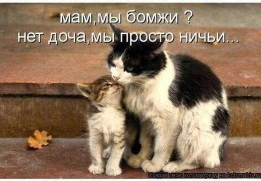 мамжмыёамам нет доча мы про ничьи